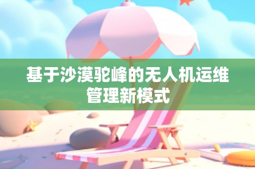 基于沙漠驼峰的无人机运维管理新模式