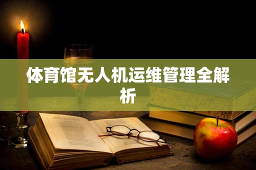 体育馆无人机运维管理全解析