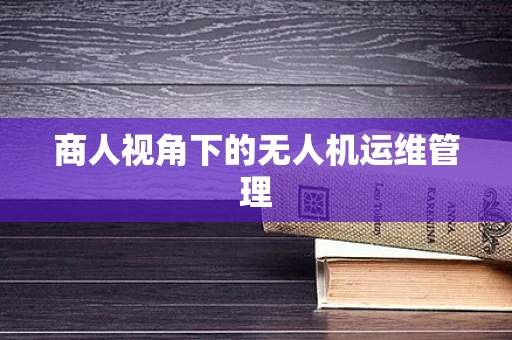 商人视角下的无人机运维管理