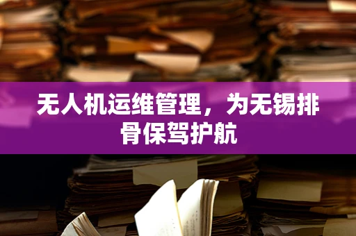 无人机运维管理，为无锡排骨保驾护航
