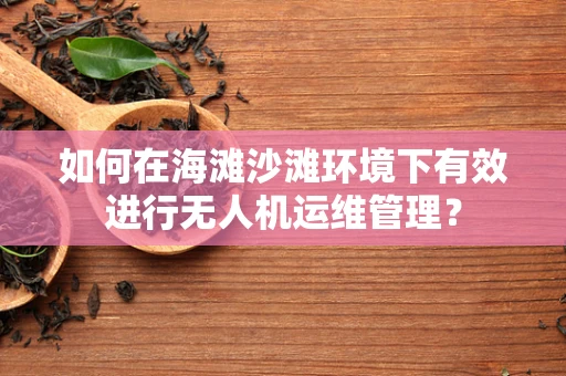 如何在海滩沙滩环境下有效进行无人机运维管理？