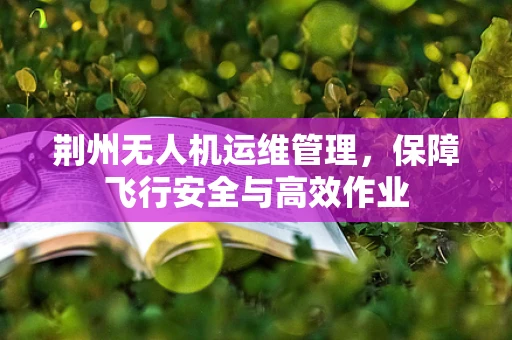 荆州无人机运维管理，保障飞行安全与高效作业