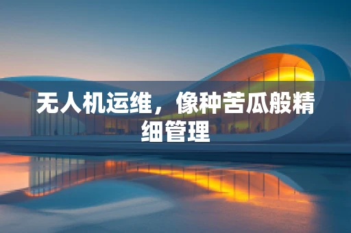 无人机运维，像种苦瓜般精细管理