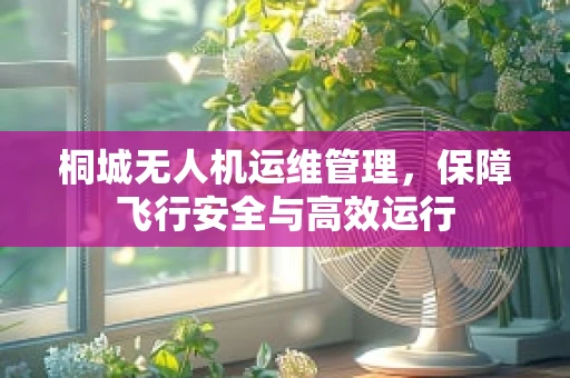 桐城无人机运维管理，保障飞行安全与高效运行