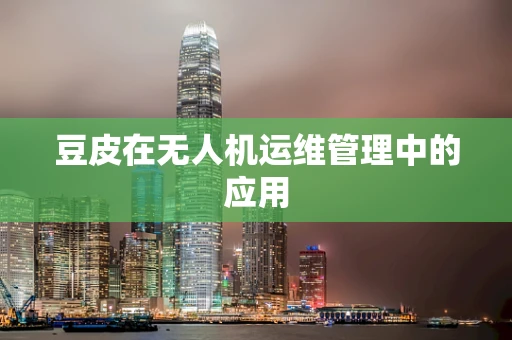 豆皮在无人机运维管理中的应用