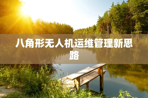 八角形无人机运维管理新思路