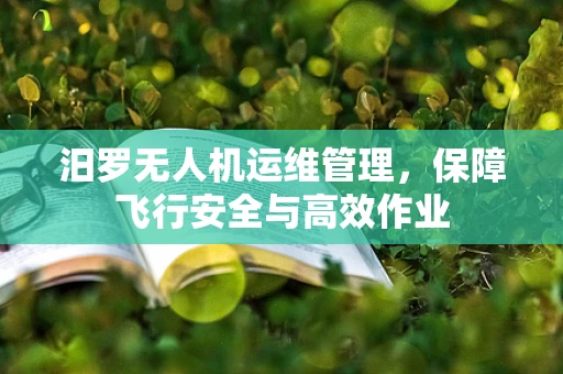 汨罗无人机运维管理，保障飞行安全与高效作业