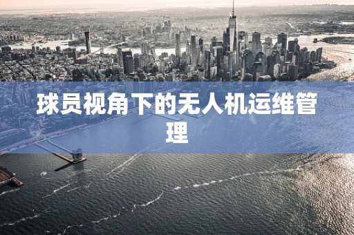 球员视角下的无人机运维管理