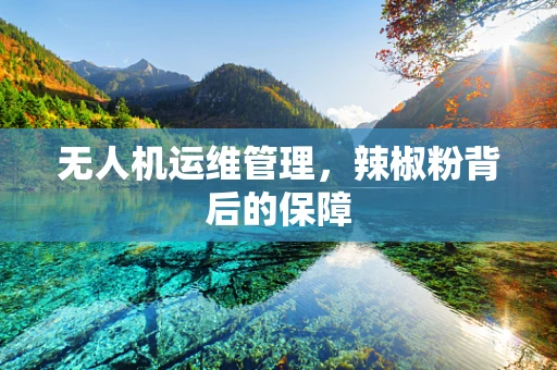无人机运维管理，辣椒粉背后的保障