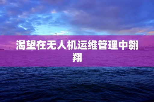 渴望在无人机运维管理中翱翔
