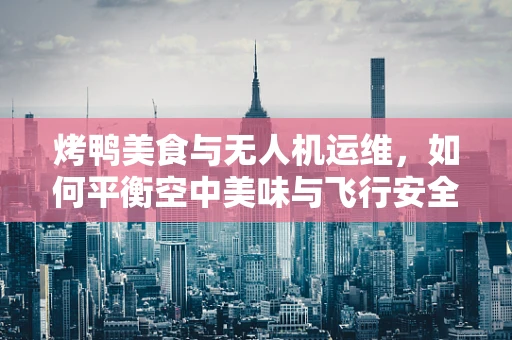烤鸭美食与无人机运维，如何平衡空中美味与飞行安全？
