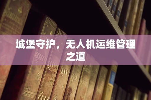 城堡守护，无人机运维管理之道