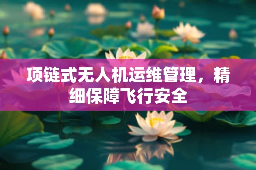 项链式无人机运维管理，精细保障飞行安全