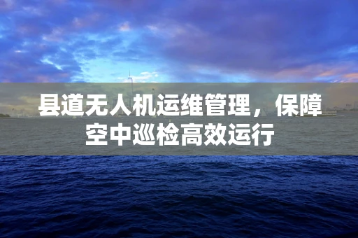 县道无人机运维管理，保障空中巡检高效运行