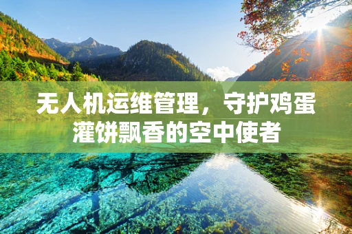 无人机运维管理，守护鸡蛋灌饼飘香的空中使者