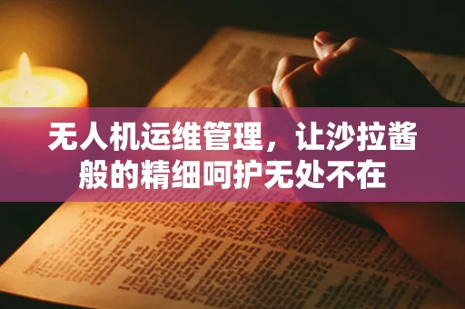 无人机运维管理，让沙拉酱般的精细呵护无处不在