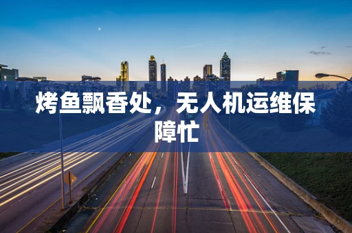 烤鱼飘香处，无人机运维保障忙