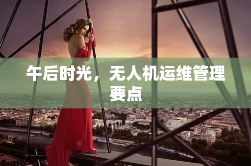午后时光，无人机运维管理要点