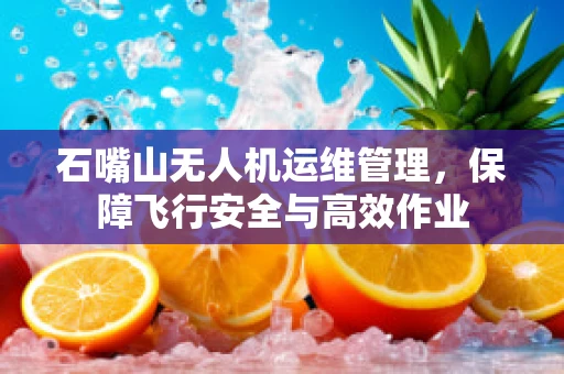 石嘴山无人机运维管理，保障飞行安全与高效作业