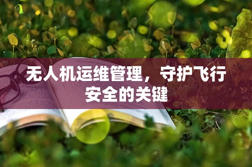 无人机运维管理，守护飞行安全的关键