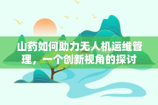 山药如何助力无人机运维管理，一个创新视角的探讨