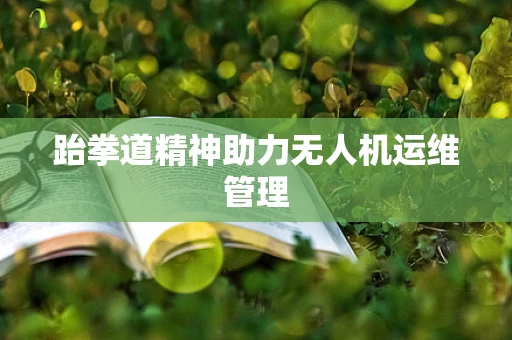 跆拳道精神助力无人机运维管理