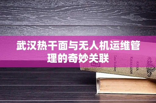 武汉热干面与无人机运维管理的奇妙关联