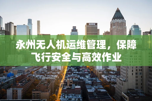 永州无人机运维管理，保障飞行安全与高效作业