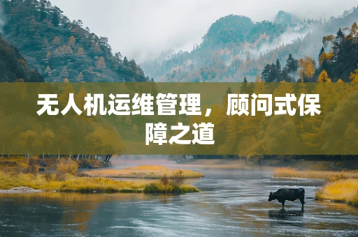 无人机运维管理，顾问式保障之道