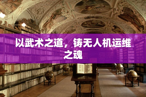 以武术之道，铸无人机运维之魂