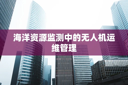 海洋资源监测中的无人机运维管理