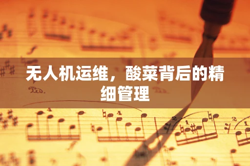 无人机运维，酸菜背后的精细管理