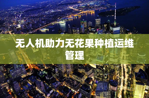 无人机助力无花果种植运维管理