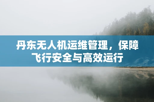 丹东无人机运维管理，保障飞行安全与高效运行