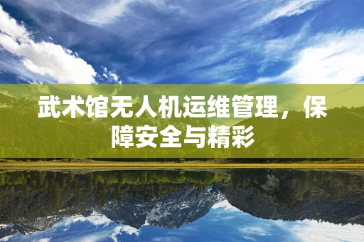 武术馆无人机运维管理，保障安全与精彩