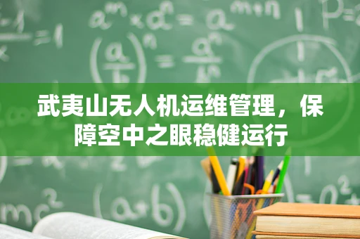 武夷山无人机运维管理，保障空中之眼稳健运行