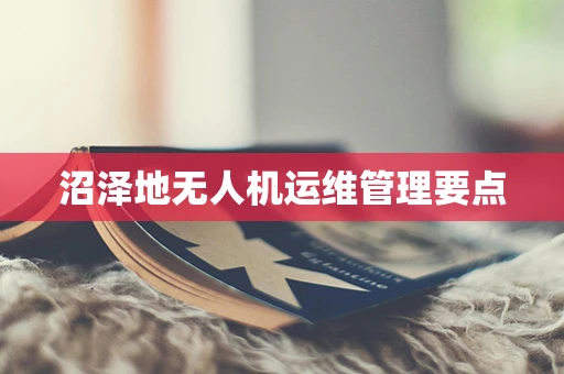 沼泽地无人机运维管理要点