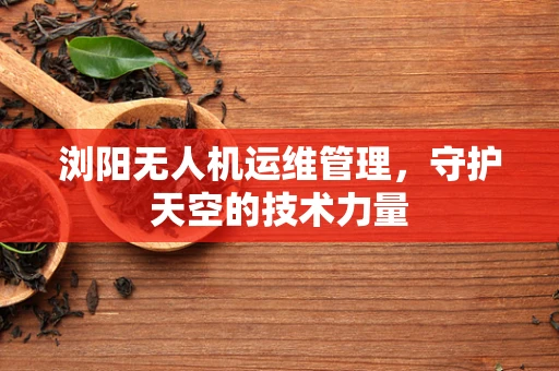 浏阳无人机运维管理，守护天空的技术力量