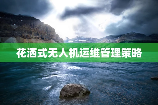 花洒式无人机运维管理策略