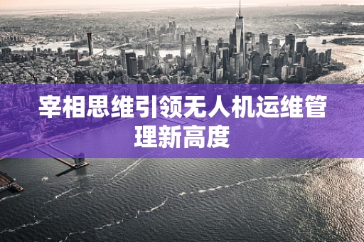 宰相思维引领无人机运维管理新高度