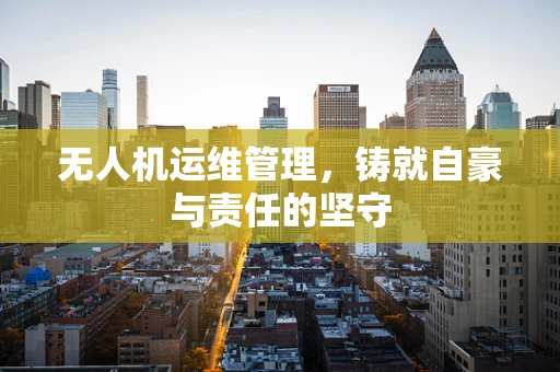 无人机运维管理，铸就自豪与责任的坚守