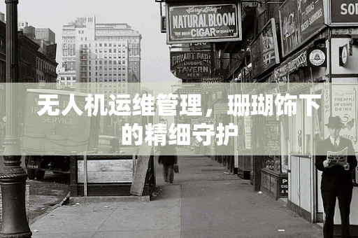 无人机运维管理，珊瑚饰下的精细守护