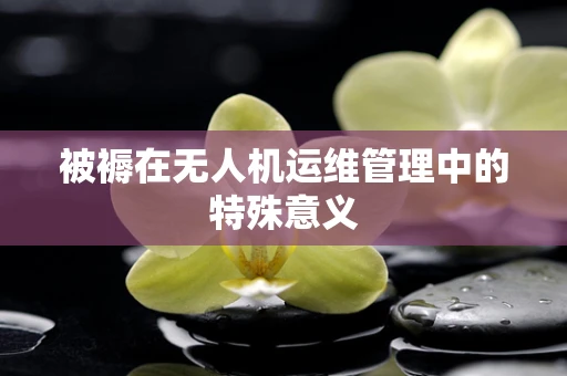 被褥在无人机运维管理中的特殊意义