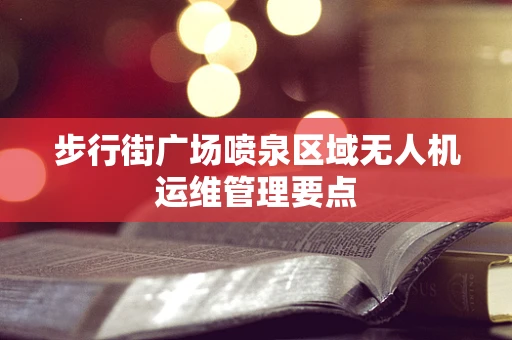 步行街广场喷泉区域无人机运维管理要点