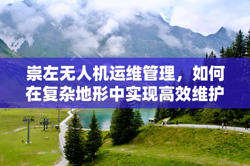 崇左无人机运维管理，如何在复杂地形中实现高效维护？