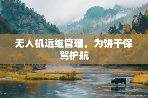 无人机运维管理，为饼干保驾护航