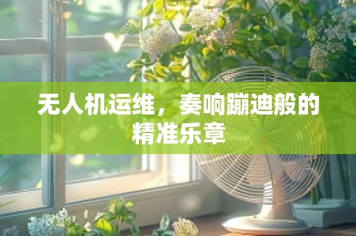 无人机运维，奏响蹦迪般的精准乐章