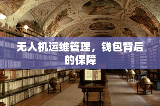 无人机运维管理，钱包背后的保障