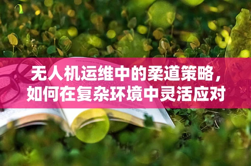 无人机运维中的柔道策略，如何在复杂环境中灵活应对？
