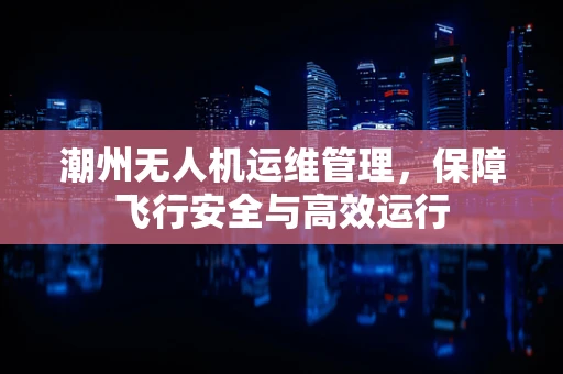 潮州无人机运维管理，保障飞行安全与高效运行